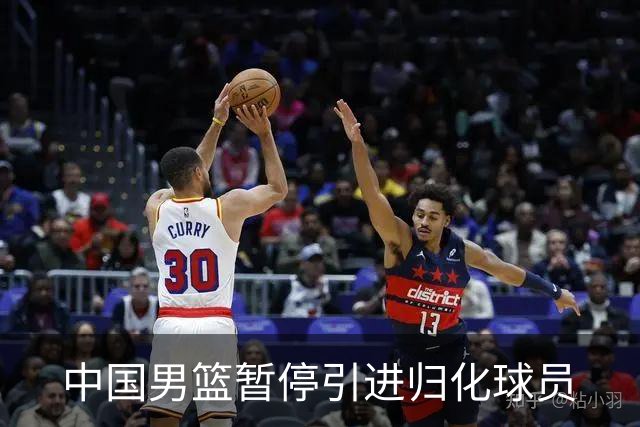 中国男篮暂停引进归化球员